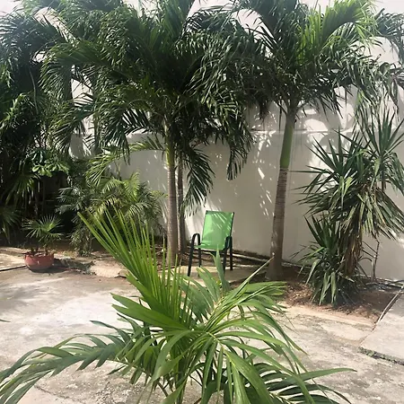 Studios Playa