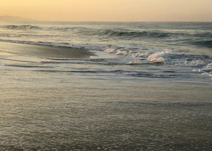 Playa